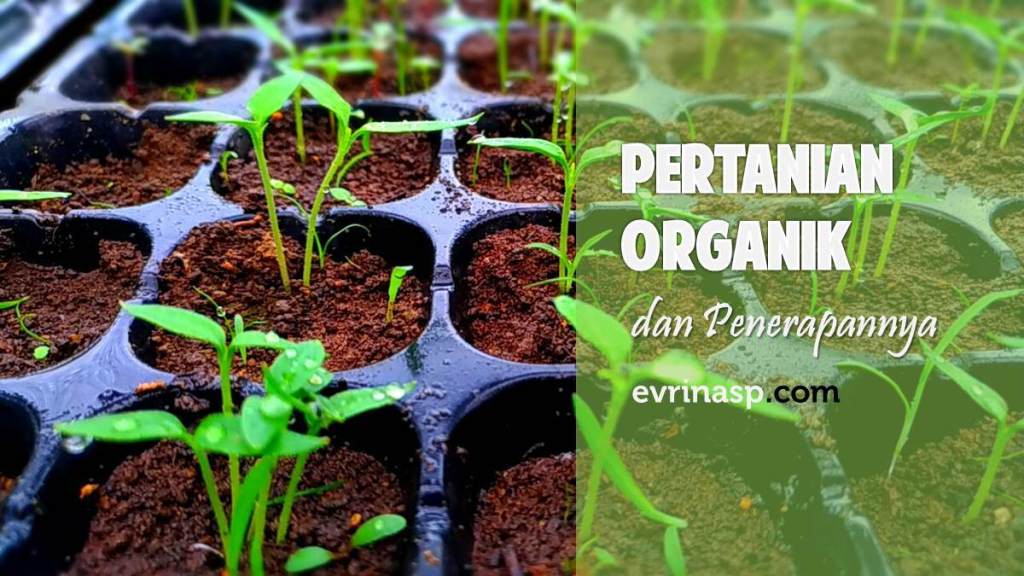 Pertanian Organik dan Penerapannya